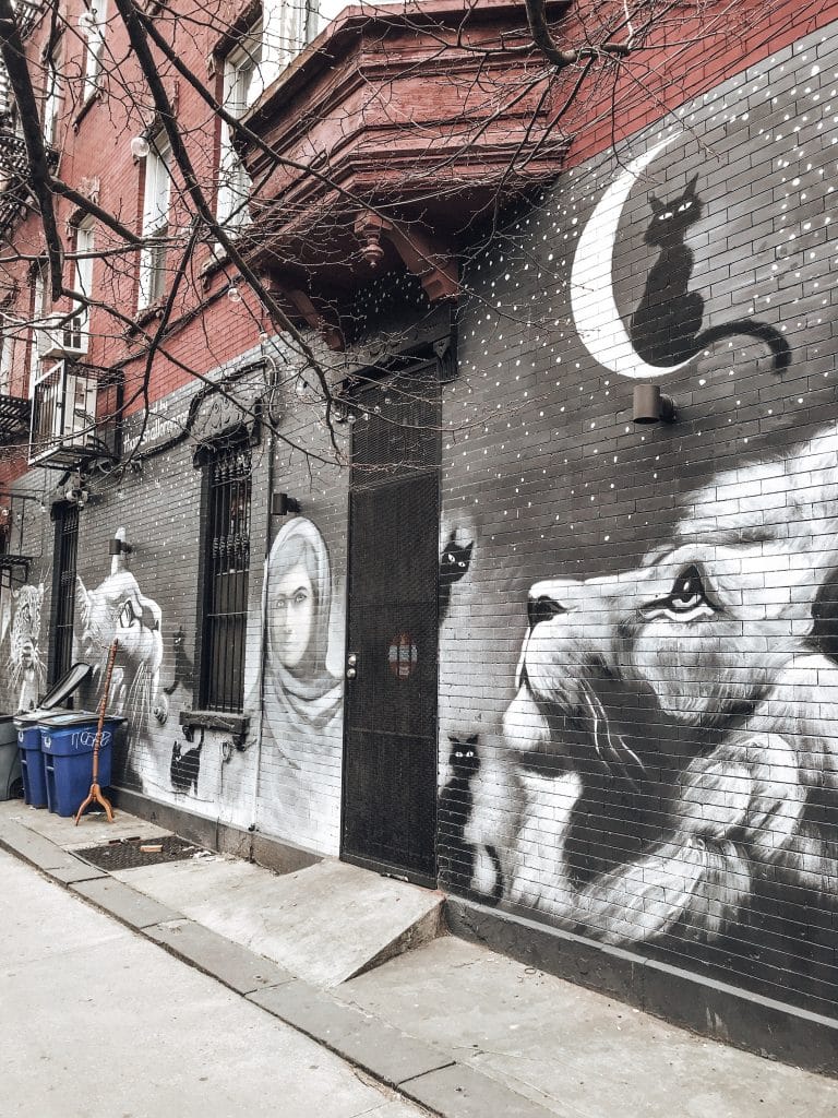 Street Art in New York - Brooklyn Bushwick Collective